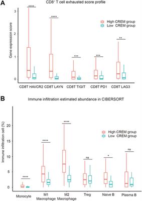 CREM Is Correlated With Immune-Suppressive Microenvironment and Predicts Poor Prognosis in Gastric Adenocarcinoma